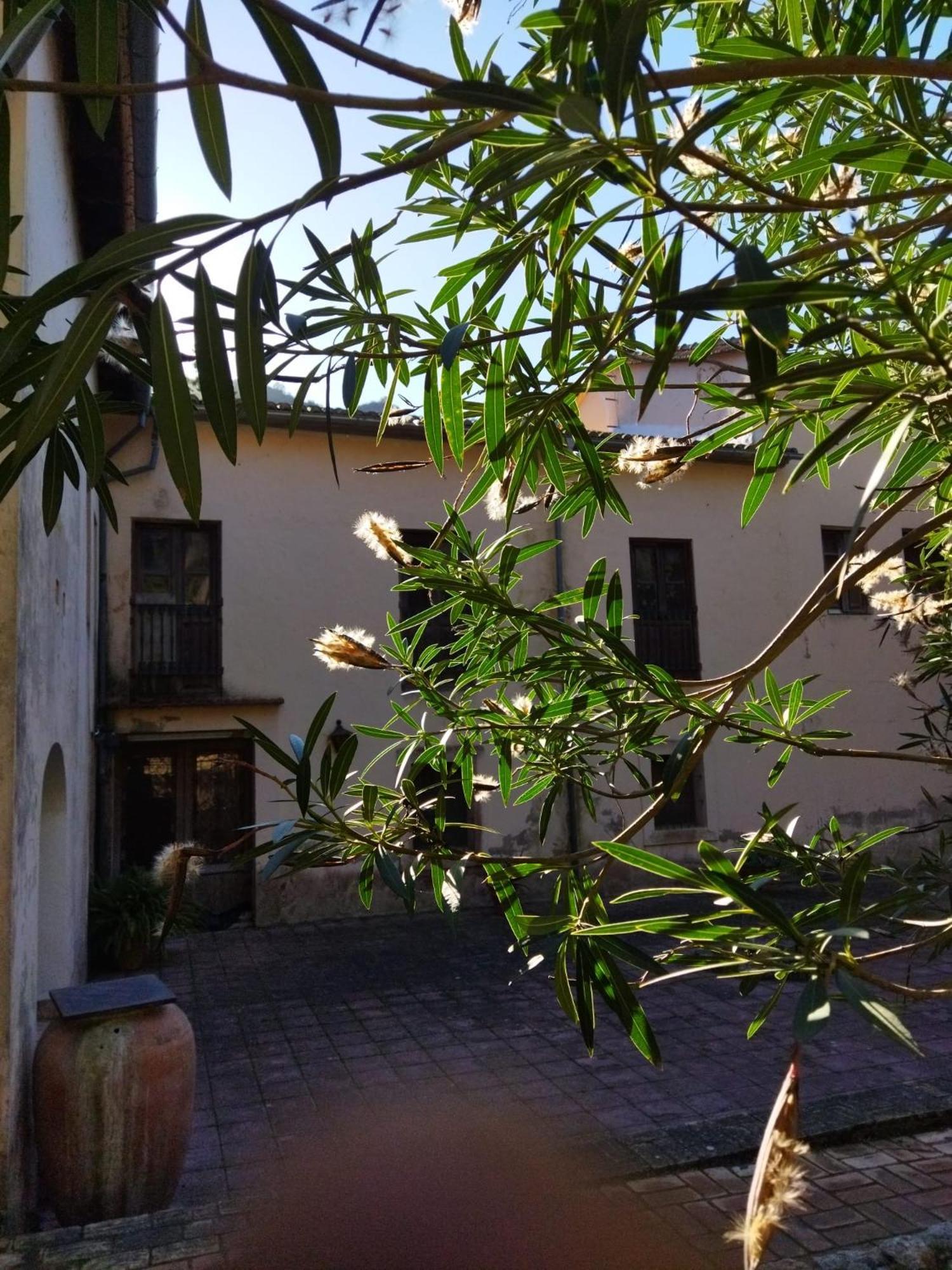 Casa Bienvenida - Carcaixent Exterior foto